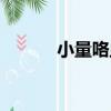 小量咯血（關于小量咯血簡介）