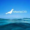 MariaDB和MindsDB提高了云數據庫的IQ