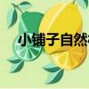 小鋪子自然村（關于小鋪子自然村簡介）