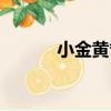 小金黃耆（關于小金黃耆簡介）