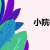 小院村（關于小院村簡介）