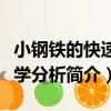 小鋼鐵的快速化學分析（關于小鋼鐵的快速化學分析簡介）
