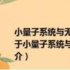 小量子系統與無窮多自由度環境相互作用及操控的研究（關于小量子系統與無窮多自由度環境相互作用及操控的研究簡介）