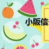 小阪信夫（關于小阪信夫簡介）