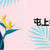 屯上村（關于屯上村簡介）