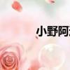 小野阿通（關于小野阿通簡介）