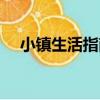 小鎮生活指南（關于小鎮生活指南簡介）