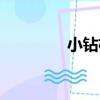 小鉆楊（關于小鉆楊簡介）