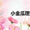 小金瓜理財（關于小金瓜理財簡介）