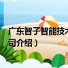 廣東智子智能技術有限公司（關于廣東智子智能技術有限公司介紹）