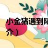 小金豬遇到陌生人（關于小金豬遇到陌生人簡介）