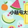 小陸屯大隊（關于小陸屯大隊簡介）