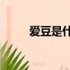 愛豆是什么意思（ad是什么意思）