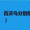 百靈鳥分別指哪類人（百靈鳥分別指哪一類人）