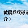 黃晨乒乓球運動員簡介（黃晨乒乓球運動員簡介）