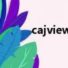 cajviewer是應用軟件嗎（cajv）