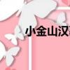 小金山漢墓（關于小金山漢墓簡介）