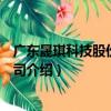 廣東晟琪科技股份有限公司（關于廣東晟琪科技股份有限公司介紹）