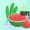 相的筆順筆畫（相的筆順）