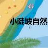 小陡坡自然村（關于小陡坡自然村簡介）