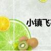 小鎮飛花（關于小鎮飛花簡介）