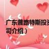 廣東普路特斯投資有限公司（關于廣東普路特斯投資有限公司介紹）