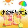 小金杯與大寶馬（關于小金杯與大寶馬簡介）