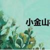 小金山村（關于小金山村簡介）
