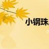 小鋼珠店（關于小鋼珠店簡介）