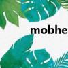 mobhealth參數（mobhealth）
