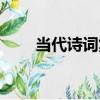 當代詩詞集（關于當代詩詞集介紹）