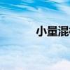 小量混棉（關于小量混棉簡介）