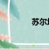 蘇爾坦科森（蘇爾坦 科森）