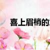 喜上眉梢的意思寓意（喜上眉梢的意思）