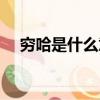 窮哈是什么意思英文（窮哈是什么意思）