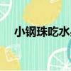 小鋼珠吃水果（關于小鋼珠吃水果簡介）
