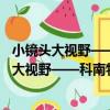 小鏡頭大視野——科南特與當代美國教育改革（關于小鏡頭大視野——科南特與當代美國教育改革簡介）