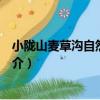 小隴山麥草溝自然保護區（關于小隴山麥草溝自然保護區簡介）