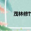 茂林修竹簡介（茂林修竹的意思）