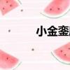 小金鑾殿（關于小金鑾殿簡介）