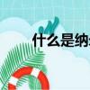 什么是納米技術（什么是納米技術）