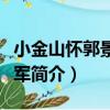 小金山懷郭景純參軍（關于小金山懷郭景純參軍簡介）