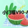 小門瞳V90-A8（關于小門瞳V90-A8簡介）