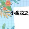 小金龍之謎（關于小金龍之謎簡介）
