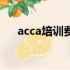 acca培訓費用一般多少錢（acca培訓）
