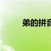 弟的拼音是怎么寫的（弟的拼音）