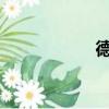 德邦物流電話95353
