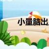 小量腦出血（關于小量腦出血簡介）