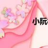 小阮村（關于小阮村簡介）