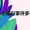 小銀行家許多多（關于小銀行家許多多簡介）
